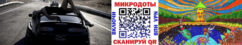 Купить  Керчь  Галлюциногенные грибы Psilocybe 